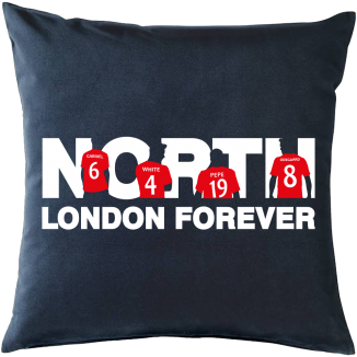 NORTH LONDON FOREVER CUSHION