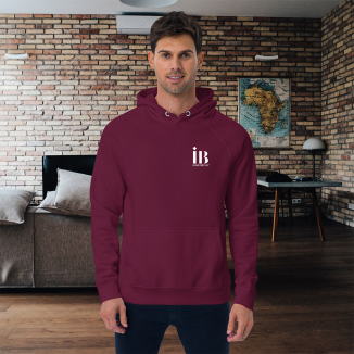 IB Irish Brand Unisex eco raglan hoodie