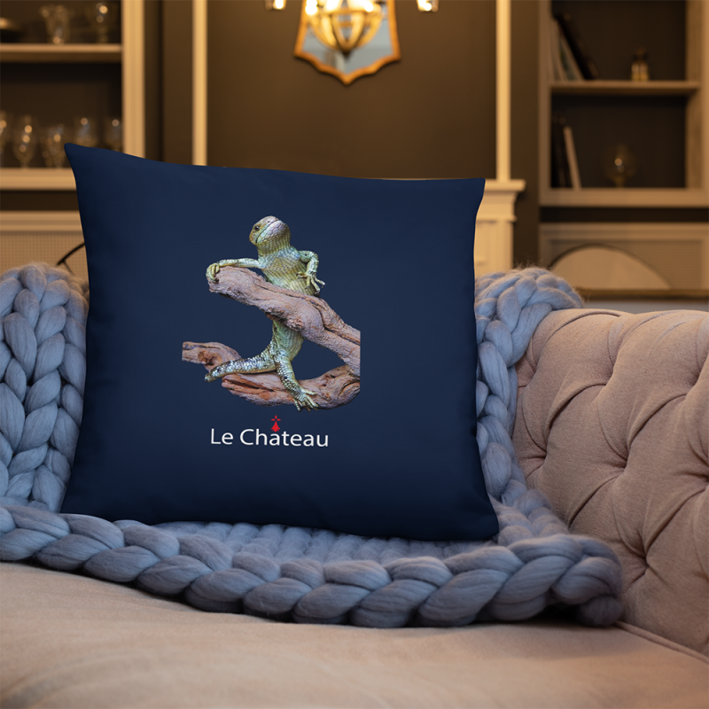 LE CHATEAU CUSHION