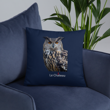 Montana Brand Owl Cushion