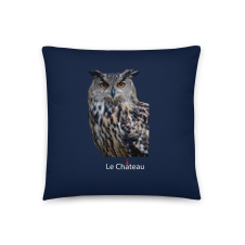 Montana Brand Owl Cushion
